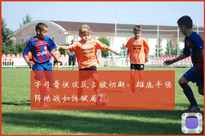 字母哥快攻反击被切断，雄鹿半场阵地战如何破局？